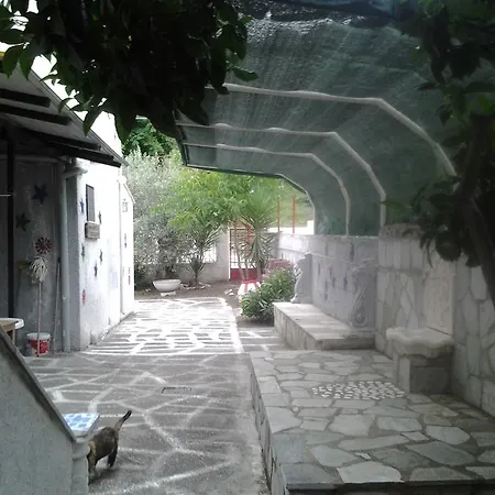 Theoxenia Πτελεός