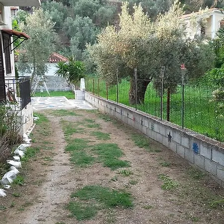 Theoxenia Πτελεός