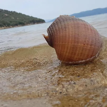 Theoxenia Διαμέρισμα